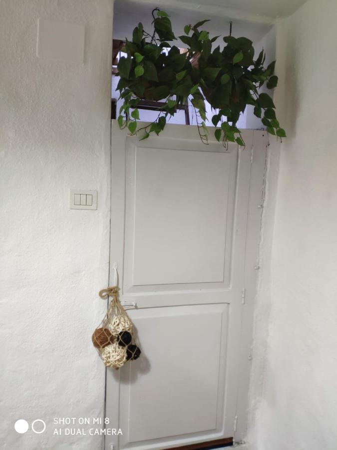 סנטה קרוס דה לה פלמה La Casita Calle El Tanque מראה חיצוני תמונה
